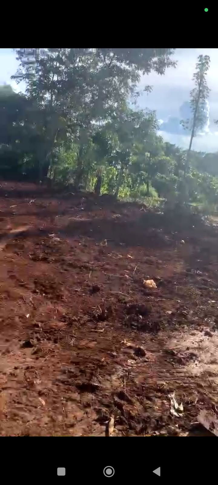 Đất nền Hòa Nam, Di Linh 250m² giá 850 triệu - Bán gấp, thương lượng tốt!