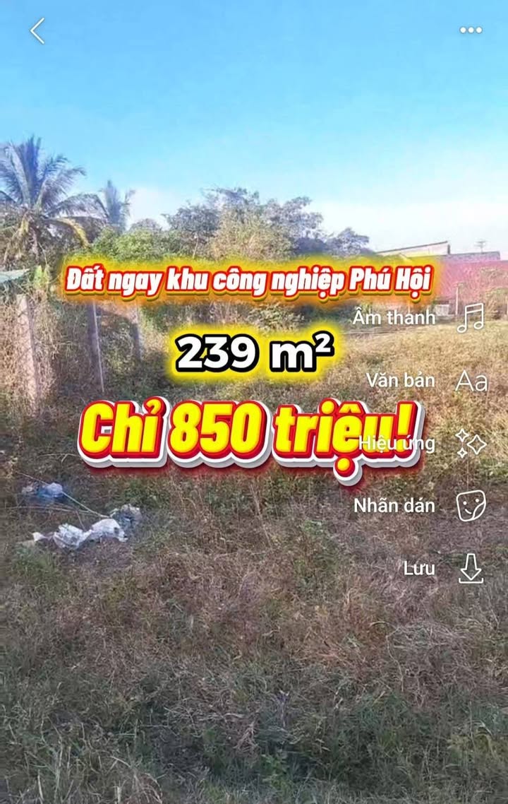 Đất xây trọ 239m² tại Phú Hội, Đức Trọng chỉ 850 triệu - Đầu tư sinh lời ngay!