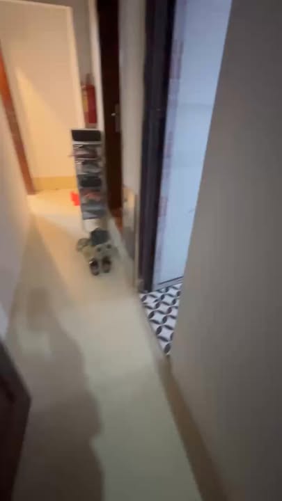 Căn hộ tập thể tầng 3 Thanh Xuân 28m² giá 3.3 tỷ - Sổ đỏ chính chủ, sẵn sàng ở ngay!