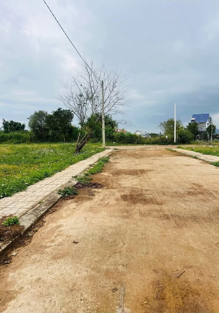 Đất thổ cư Phú Hội, Đức Trọng 150m² giá 920 triệu - Nhanh tay sở hữu!