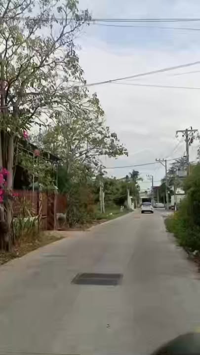 Đất cây lâu năm Phú Tài, Phan Thiết 664m² - Sổ đỏ chính chủ, giá 3.5 tỷ!