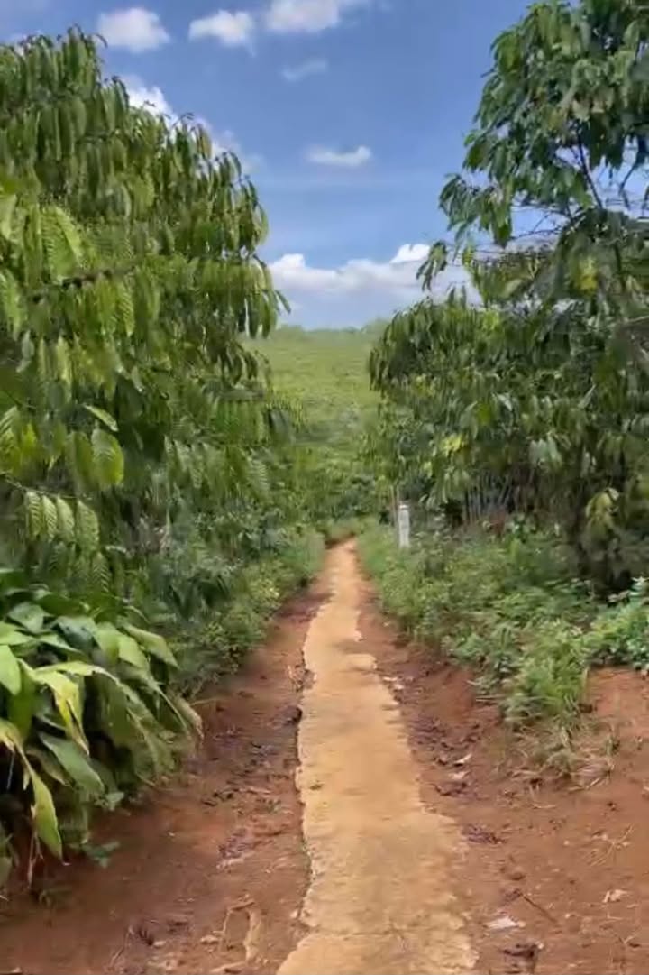 Đất nền 3600m² Thôn 1 Lộc An giá 2.4 tỷ - Sổ hồng chính chủ!