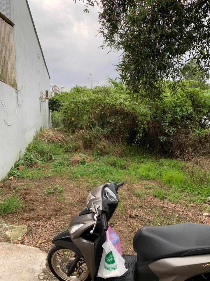 Đất nền chính hẻm 147 Nguyễn Văn Cừ, 115m² giá 2.95 tỷ - Pháp lý thổ cư 100%!