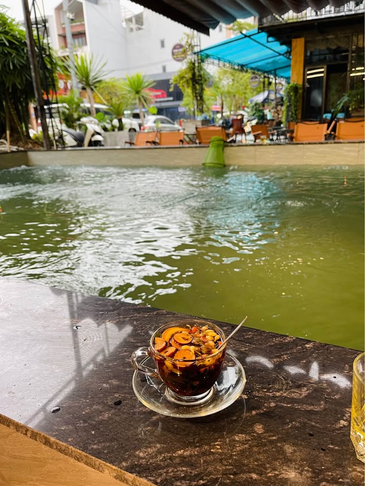 Đất thổ cư Tuyên Quang 167.6m² giá chỉ 1.x tỷ - Đầu tư sinh lời hấp dẫn!