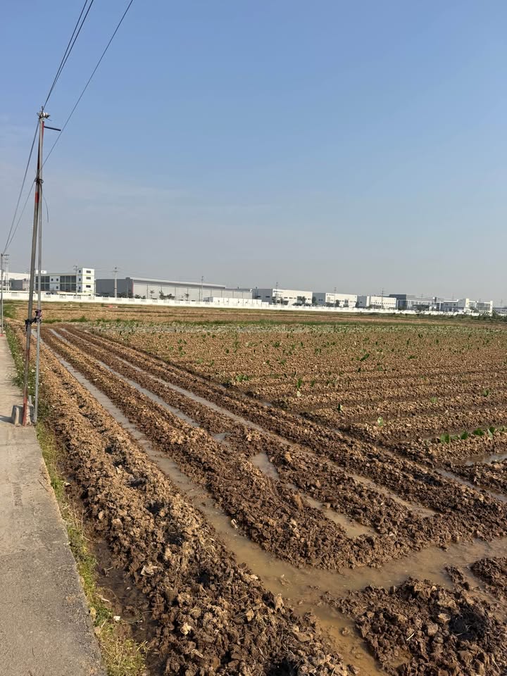 Đất nền KCN Thuận Thành 2 Bắc Ninh 76m² - Đầu tư an toàn, giá thỏa thuận!