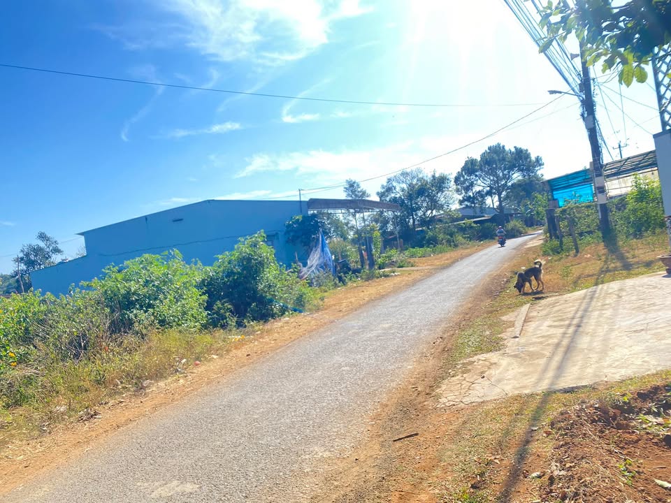 Đất thổ cư Hẻm Lam Sơn, Biển Hồ 135m² giá 499 triệu - Đầu tư sinh lời ngay!