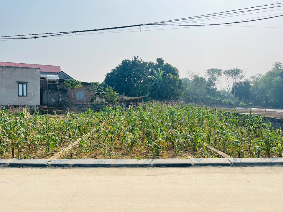 Bán đất KCN Nhuận Trạch 128m² giá 1 tỷ - Tiềm năng đầu tư sinh lời tốt!