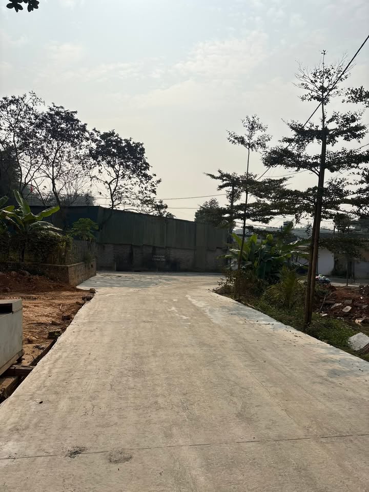 Đất nền Khu 5 Phú Hộ, Phường Phong Châu, 100m² giá 1.5 tỷ - Hỗ trợ sang tên nhanh chóng!