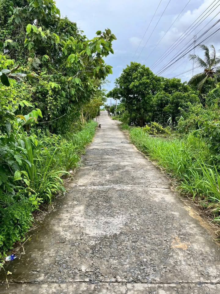 Đất thổ cư Kênh Lễ Quyền, Cà Mau 180m² giá 600 triệu - Đầu tư sinh lời ngay!