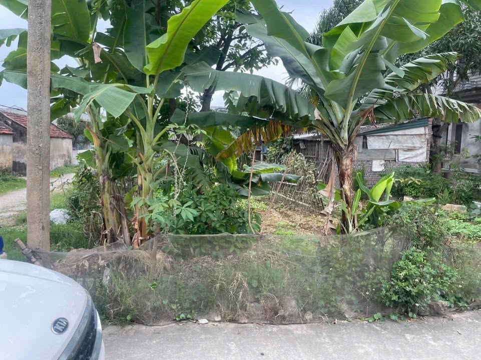 Đất nền lô góc 3 mặt đường tại Xã Khánh Hòa, Yên Khánh 142m² giá 2 tỷ - Cơ hội đầu tư tốt!