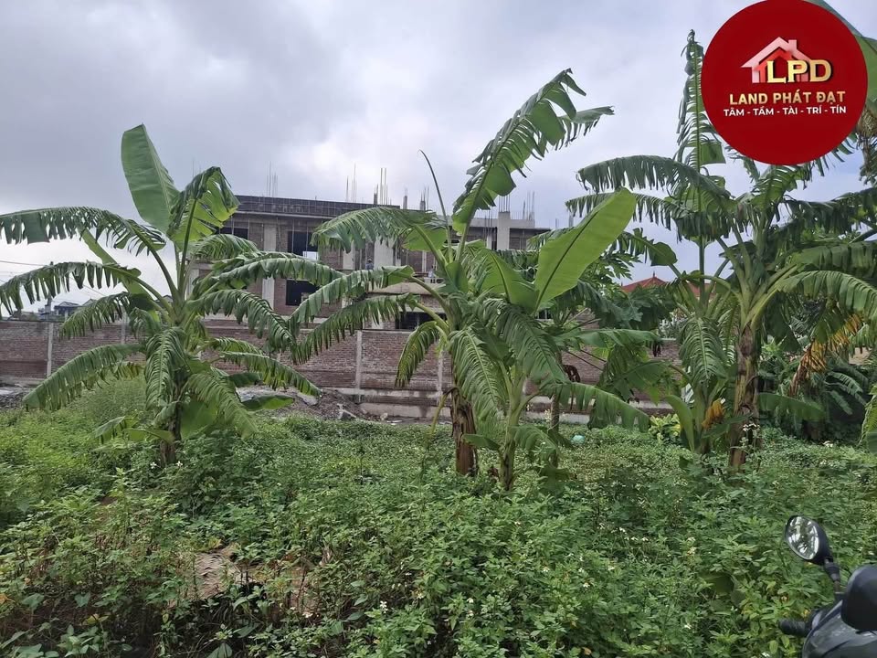 Đất nền B29 & B30 Phố Hòa Bình - Nam Thành 120m² giá 4.5 tỷ - Đầu tư tiềm năng!