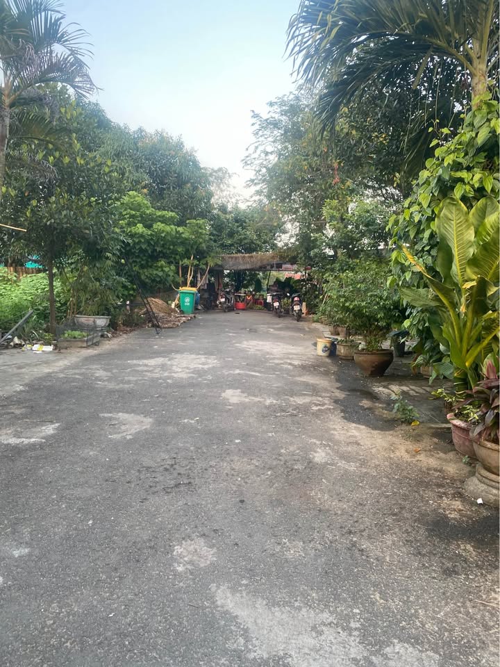 Đất Bến Trễ Hội An 98m² giá 2.1 tỷ - Mặt tiền đường nhựa 10.5m!