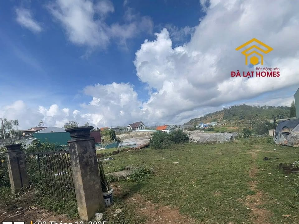 Bán đất mặt tiền Măng Lin Đà Lạt 223,5m² giá 5,5 tỷ - Đầu tư sinh lời hấp dẫn!
