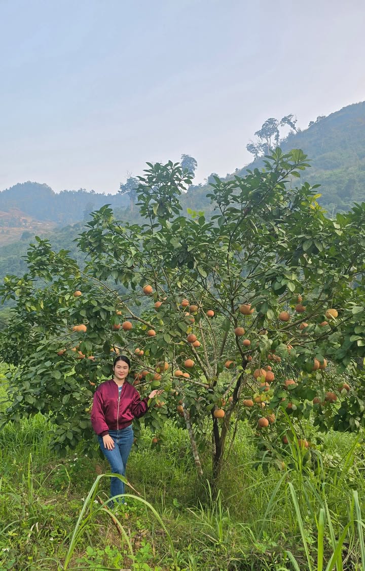 Đất nền 96m² tại KĐT Vincom Hà Giang giá 2,8 tỷ - Đầu tư sinh lời ngay!