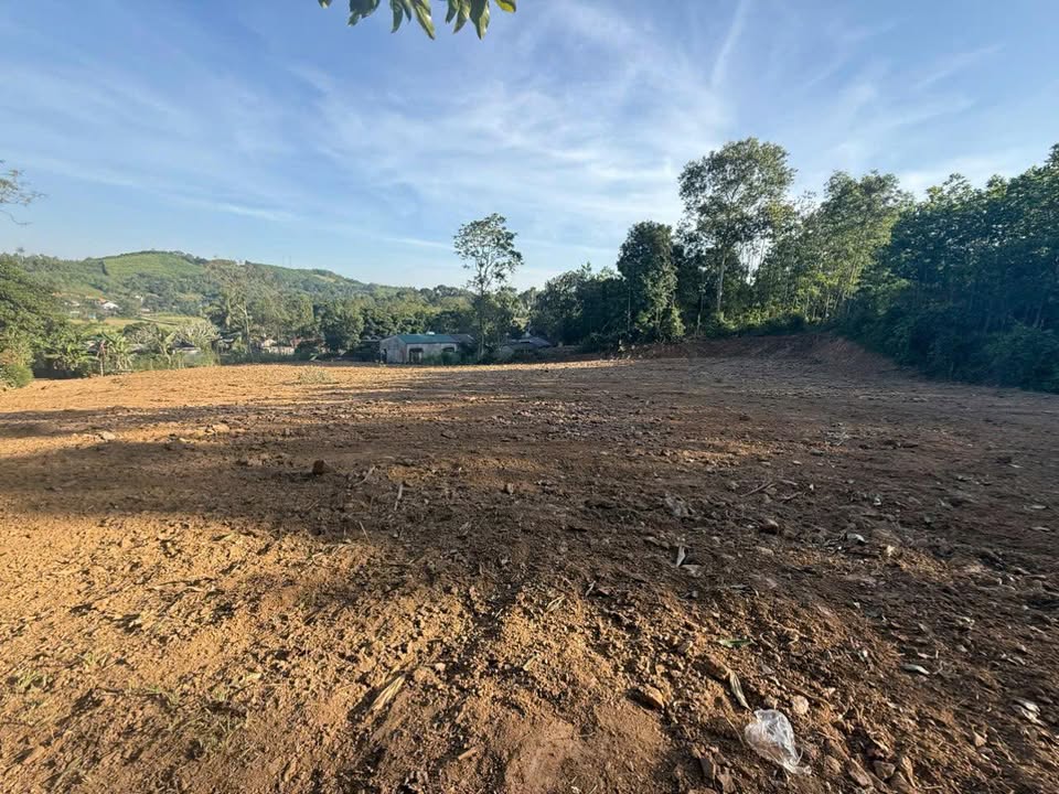 Lô đất 2150m² Thạch Bình, Thạch Thành - Phân lô đầu tư hấp dẫn!