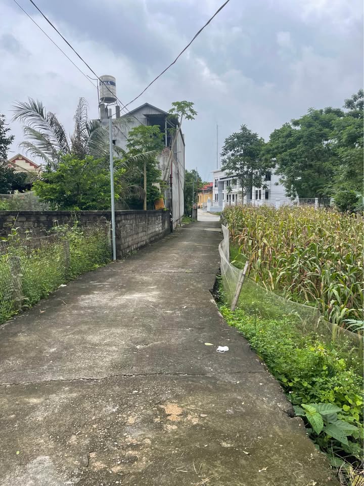 Đất thổ cư 72m² tại TDP Hoà Mục, Phường Bình Thuận - Giá chỉ 1.5 tỷ VND!