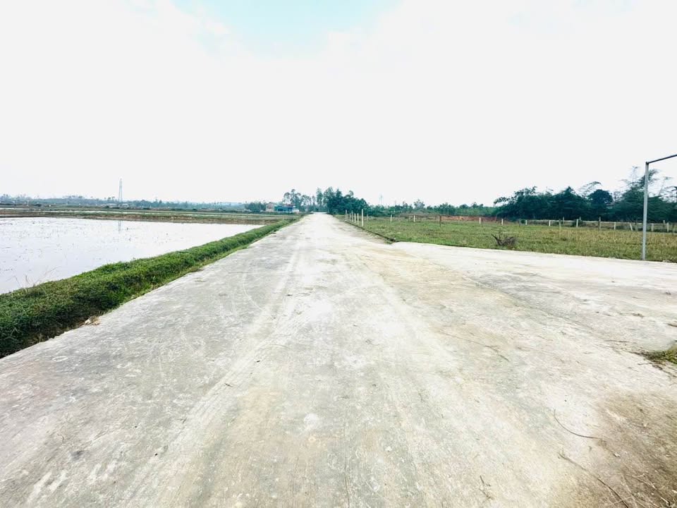 Đất nền Thôn Ngọc Hà, Xã Ngọc Sơn, 204.5m² giá 700 triệu - Cơ hội đầu tư sinh lời!