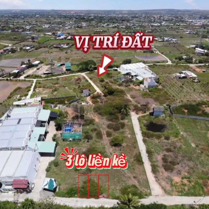 Đất thổ cư 100m² tại Khu Cá Đồng Hàm Thắng giá chỉ 600 triệu - Cơ hội đầu tư tuyệt vời!