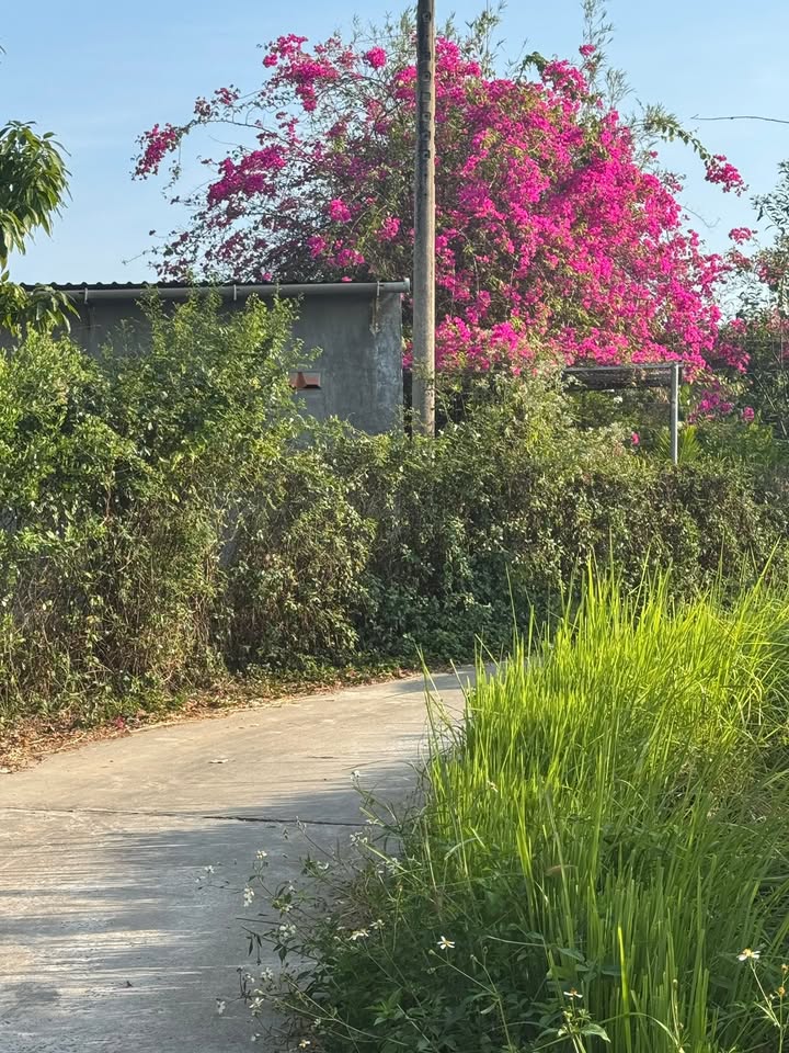 Đất nền Hàm Liêm 31.000m² giá 2.7 tỷ - Mặt tiền 47m sát nhựa Ngô Đức Tốn!