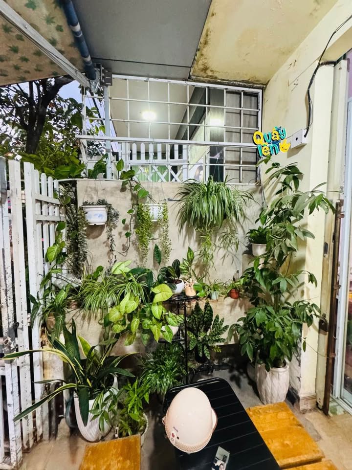 Nhà mặt tiền Hồ Tùng Mậu, Phường Quang Trung, DT 148m² - Kinh doanh sầm uất!