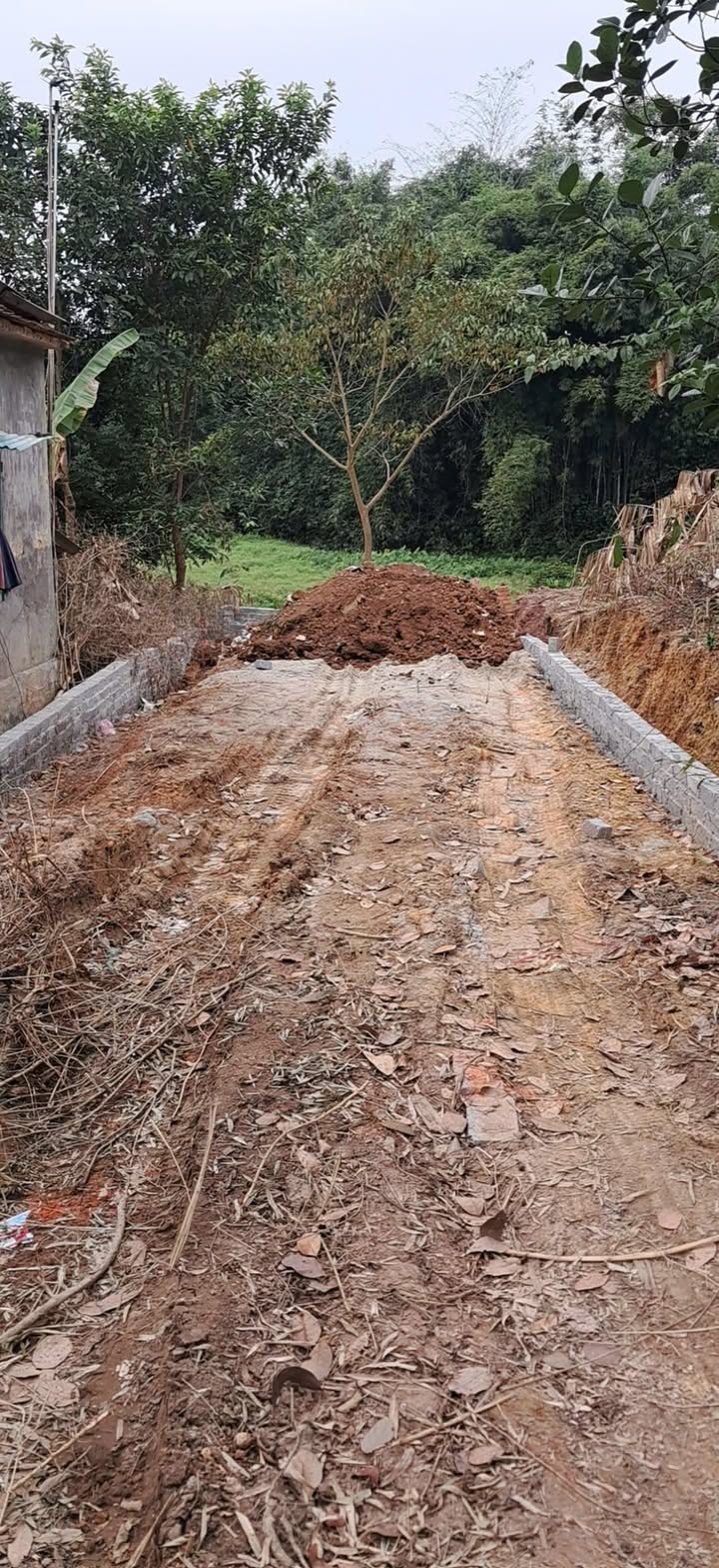 Đất thổ cư Phường Tân Lập 130m² giá 1.1 tỷ - Vị trí đẹp, thuận lợi giao thông!