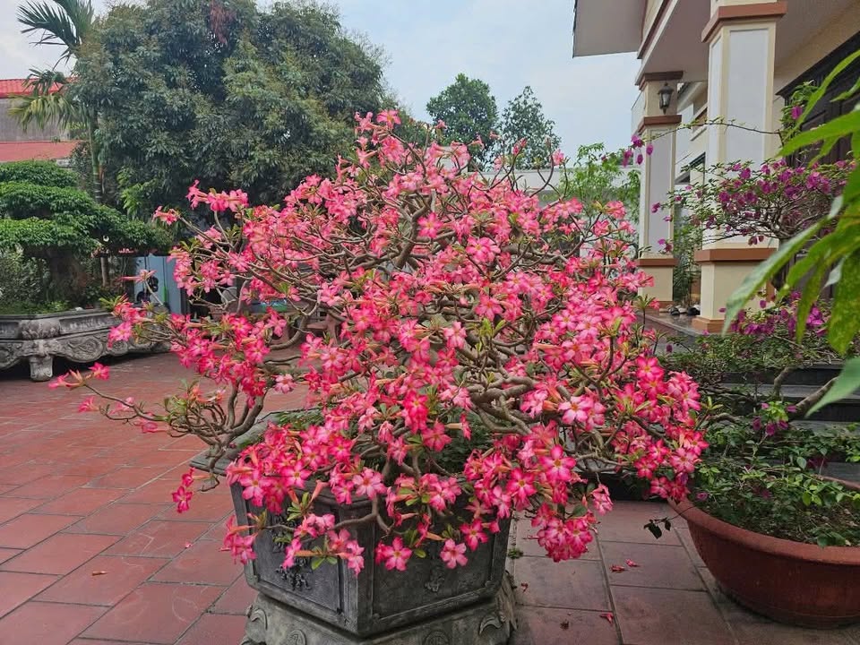 Đất dự án Tân Cương Thái Nguyên 6000m² - Cơ hội đầu tư hiếm có!