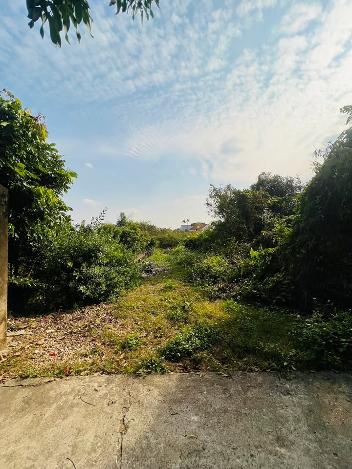 Đất thổ cư 125m² tại TDP Dốc Đồn, Bắc Giang - Giá chỉ hơn 1 tỷ!