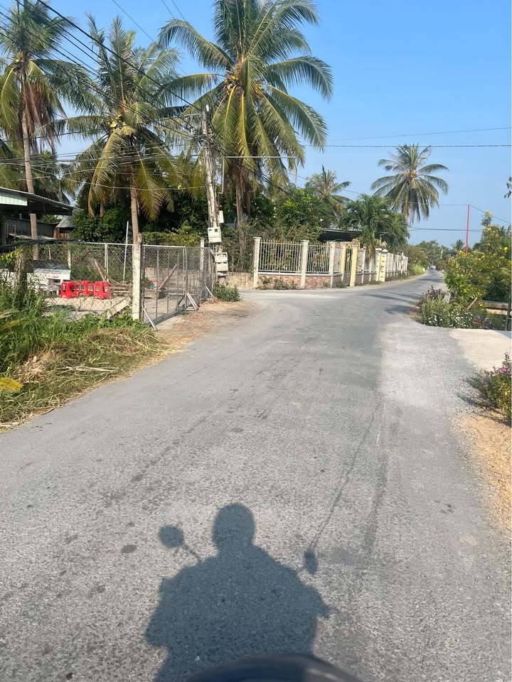 Đất nông nghiệp 9.000m² tại Bình Phan, Chợ Gạo - Giá chỉ 5.31 tỷ VND, sẵn sàng đầu tư!