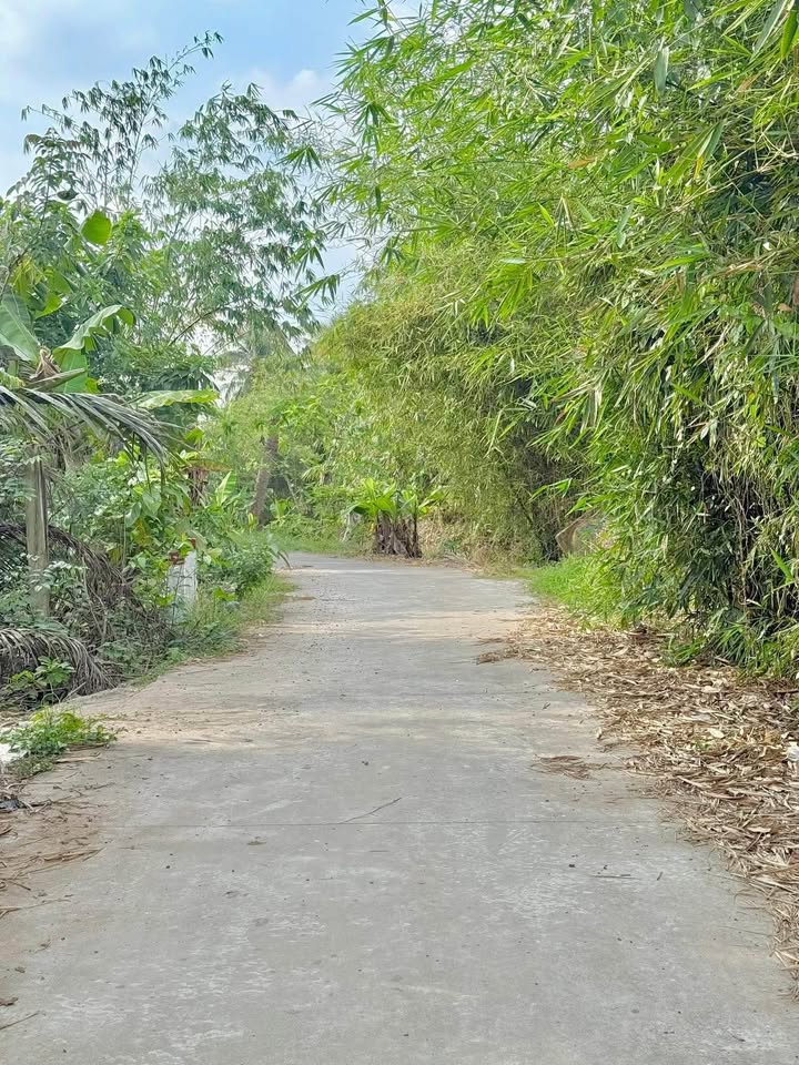 Đất nền Phước Thạnh, TP. Mỹ Tho 1.100m² - View sông tuyệt đẹp, giá thỏa thuận!