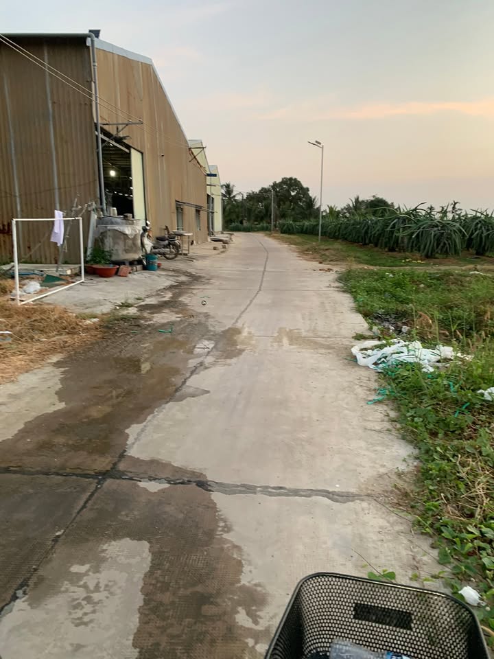 Nhà cấp 4 Lập Nghĩa, Hàm Thuận Nam 350m² giá 800 triệu - Cơ hội đầu tư hấp dẫn!