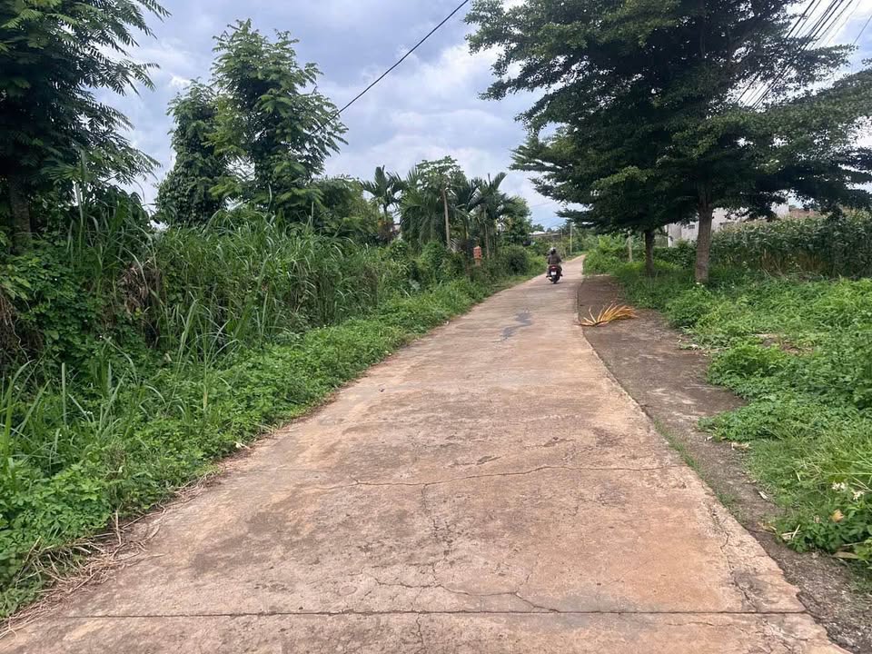 Đất thổ cư view suối tại Hòa Khánh, Buôn Ma Thuột 627m² - Giá tốt cho nhà đầu tư!