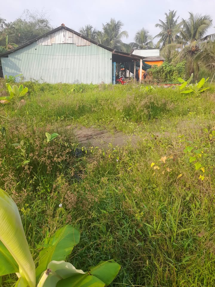 Đất thổ cư 100m² tại Hòa Tịnh, Chợ Gạo chỉ 400 triệu - Sổ hồng chính chủ!