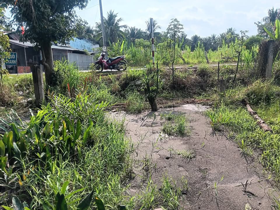 Bán gấp FrontHouse mặt tiền QL57C Sơn Phú 243.3m² - Kinh doanh sầm uất!