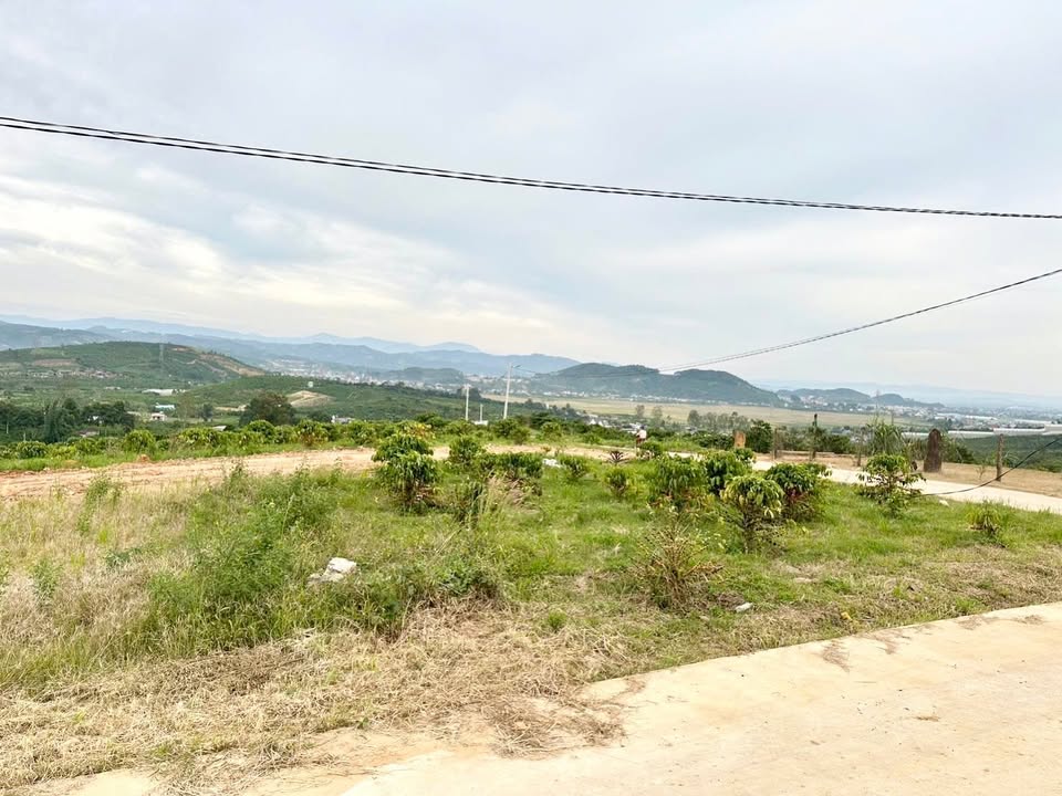 Đất nền Tân Hà Lâm Hà 2300m² giá 580 triệu - View trực diện đẹp mắt!