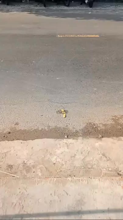 Nhà mặt tiền lộ nhựa thứ 7 An Biên 200m² giá 2.5 tỷ - Đầu tư sinh lời ngay!