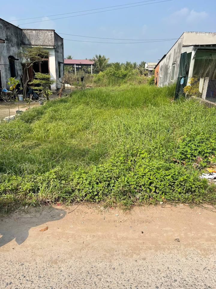 Đất nền chính chủ 176m² tại Mỹ Hạnh Nam - Đầu tư sinh lời 1.25 tỷ