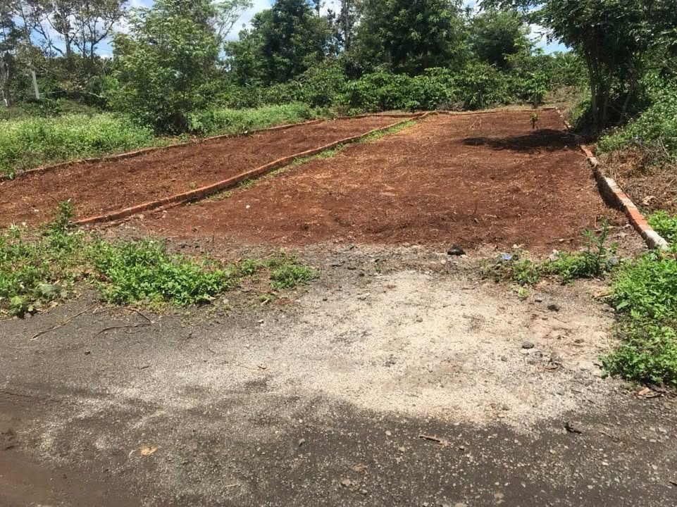 Đất nền Phường Tân An - 115m² giá 799 triệu - Cơ hội đầu tư tuyệt vời!