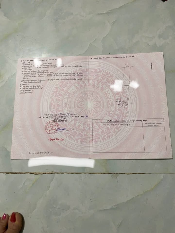 Đất vườn Ấp 5 Phú An, Huyện Cai Lậy, 1600m² giá 1 tỷ - Cơ hội đầu tư hấp dẫn!