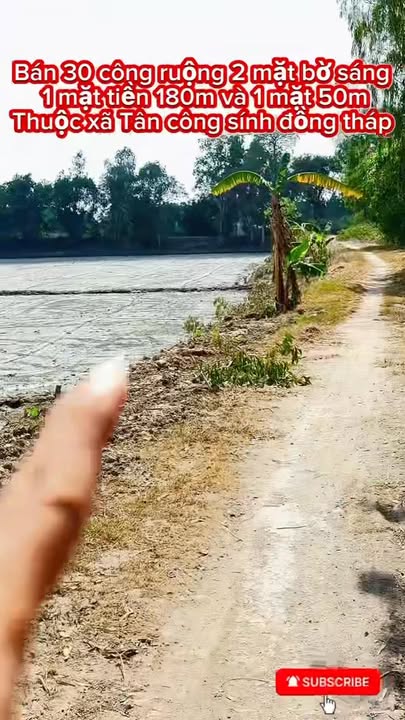 Đất nông nghiệp 30 công tại Tràm Chim, Đồng Tháp - Giá 130 triệu, Sổ hồng chính chủ!