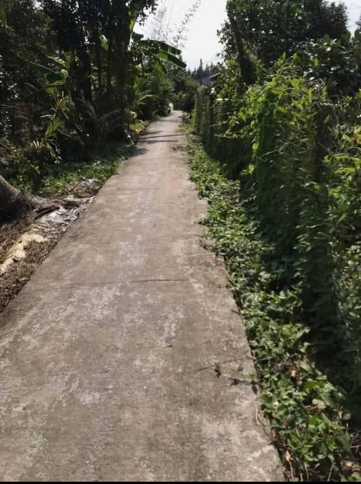 Đất nền Cẩm Sơn Cai Lậy 360m² giá 450 triệu - Sổ riêng, thổ cư 100m²!