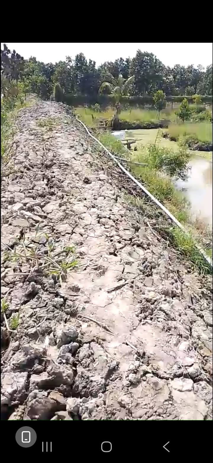 Đất Farm 7500m² xã Hậu Mỹ Bắc B - Giá chỉ 7.5 tỷ, đầu tư sinh lời!