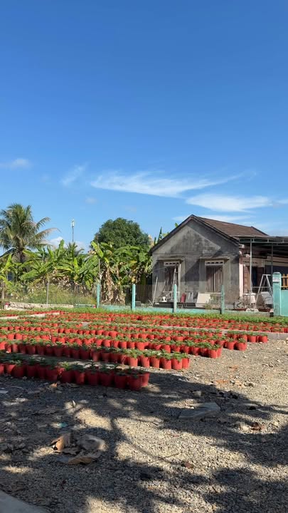 Lô đất Cam Lâm 106,8m² giá 780 triệu - Đầu tư sinh lời ngay!