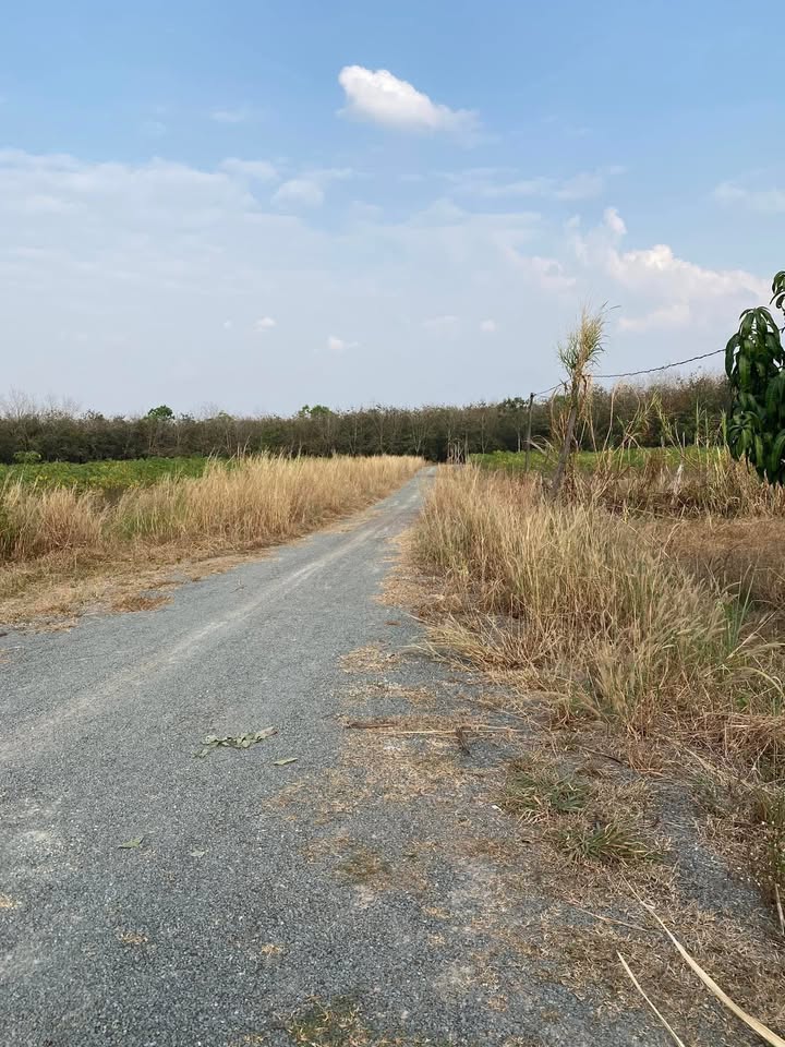 Đất nền Bình Phước 360m² giá 280 triệu - Pháp lý rõ ràng, gần khu dân cư!