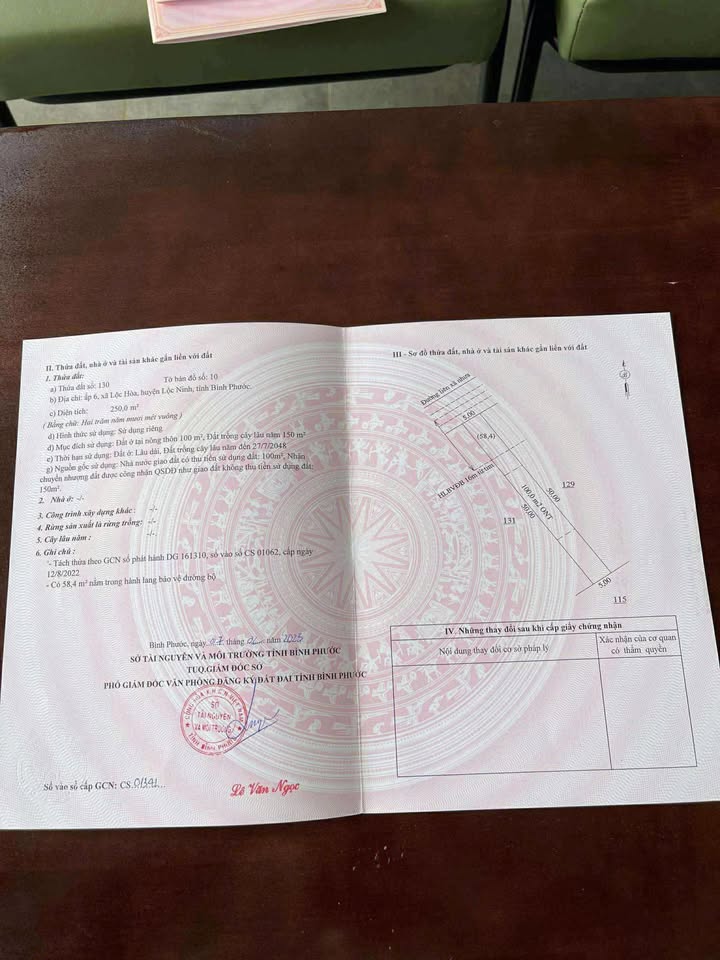 Đất nền 5000m² tại ấp 6, Lộc Hòa chỉ từ 200 triệu - Đầu tư sinh lời ngay!