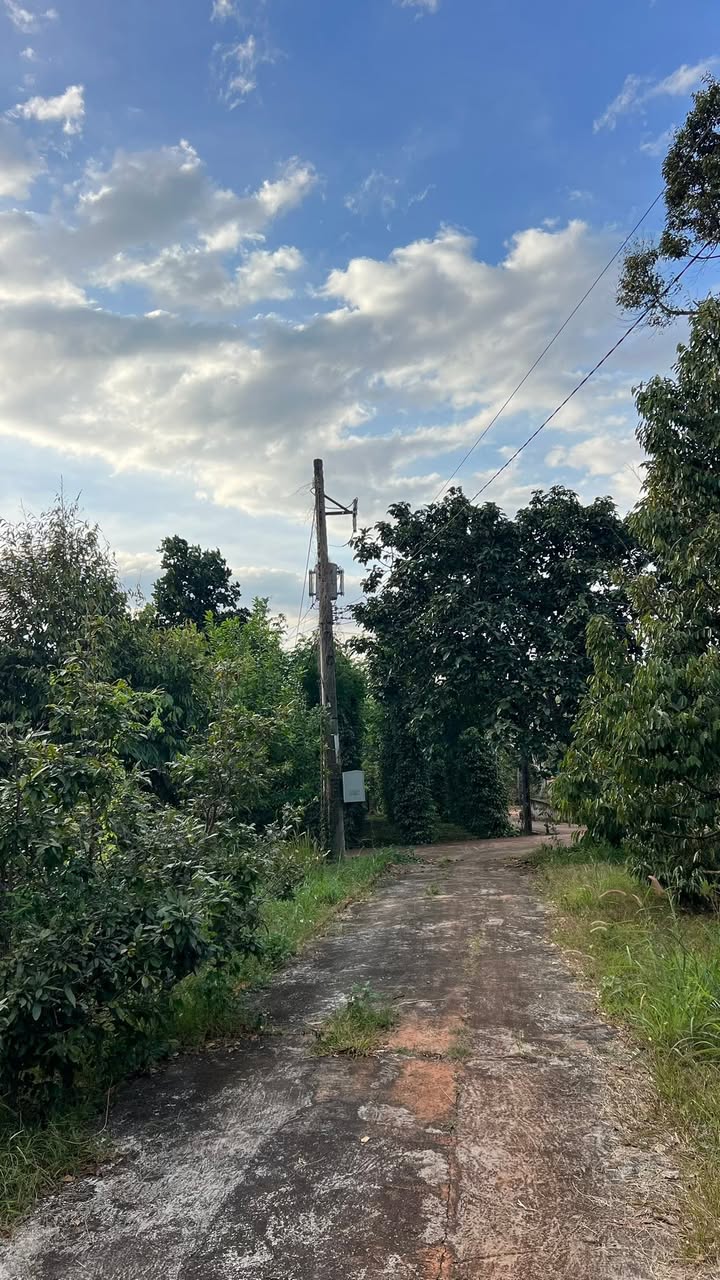 Đất nền 8,5 sào Lộc Tấn, 2,2 tỷ - Mặt tiền đường bê tông, giá tốt thương lượng!