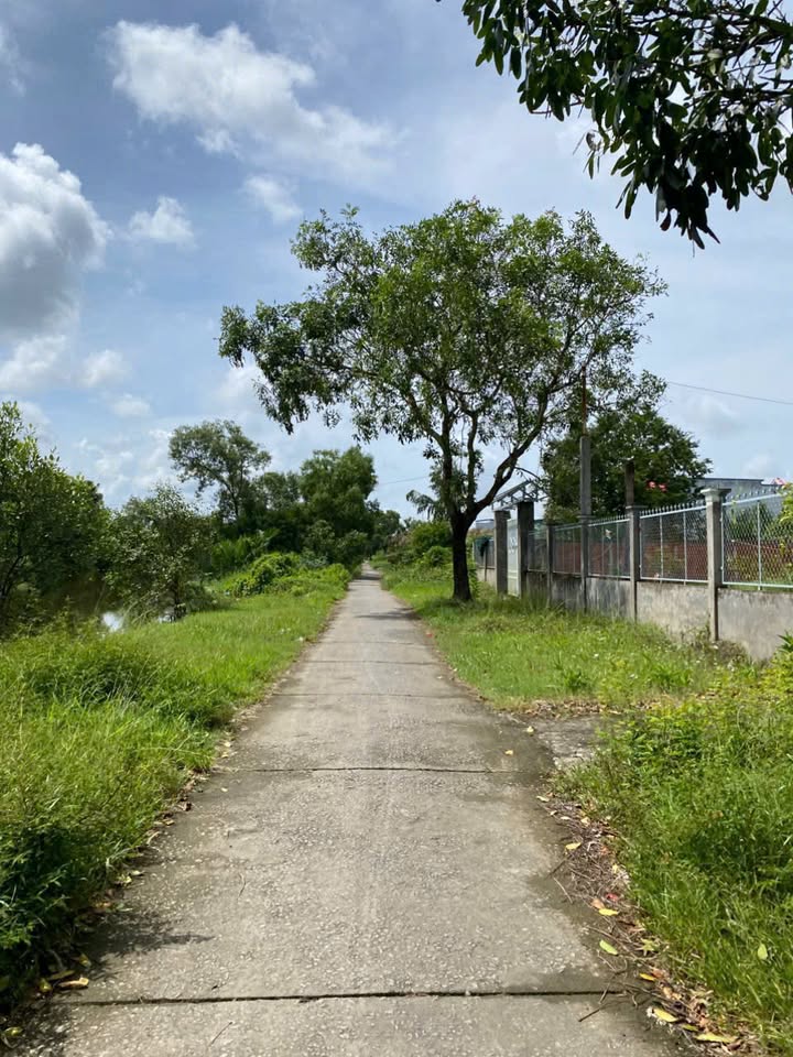 Bán đất vườn 660m² gần cầu Bà Cai, xã Lý Văn Lâm - Giá chỉ từ 100 triệu