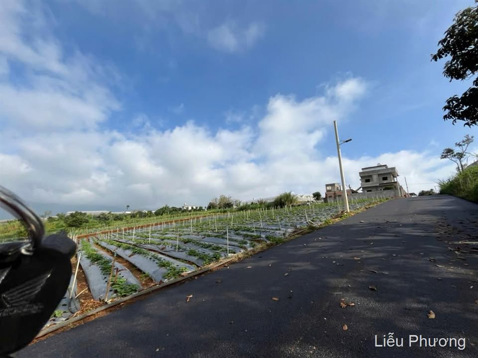 Đất thổ cư Xã Quảng Lập 72m² giá chỉ 600 triệu - Đầu tư thông minh!