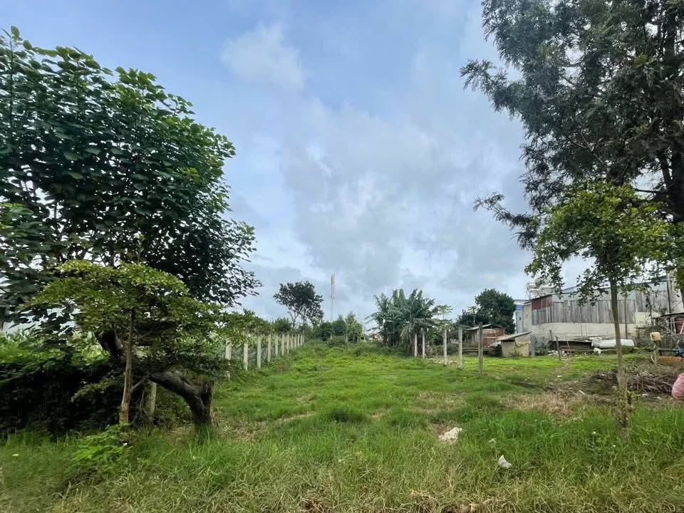 Đất thổ cư 100m² tại xã Tu Tra, Đơn Dương - Giá chỉ 800 triệu