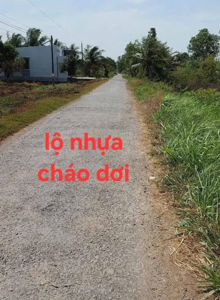 Đất nền tại lộ nhựa cháo dơi, Trà Vinh 852.6m² giá 650 triệu - Đầu tư sinh lời tốt!