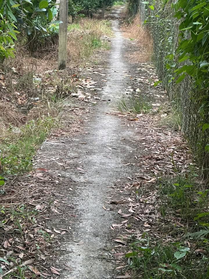 Đất nền 1800m² tại xã Tam Bình, Cai Lậy - Giá thương lượng chỉ 1.1 tỷ!